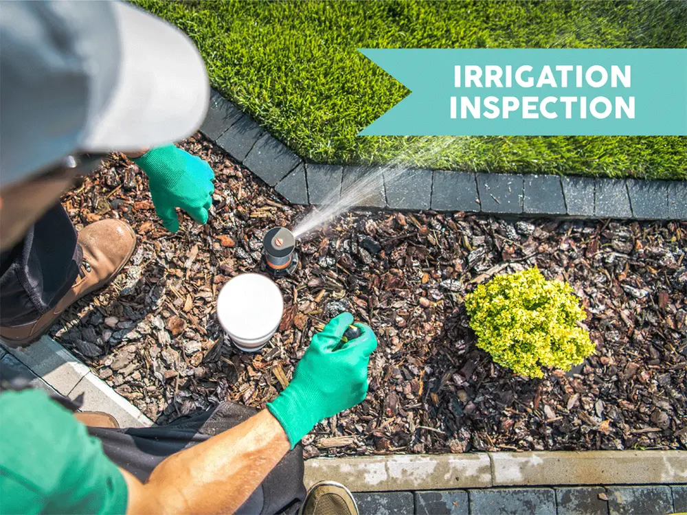 Water Oak Irrigation system inspection in progress at a Tampa Bay property