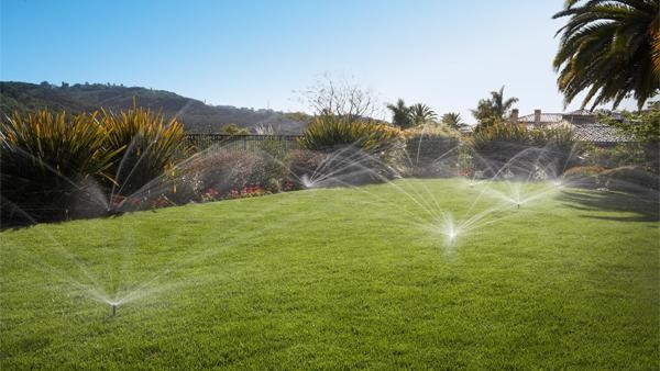Multiple irrigation sprinkler heads watering a lush green lawn