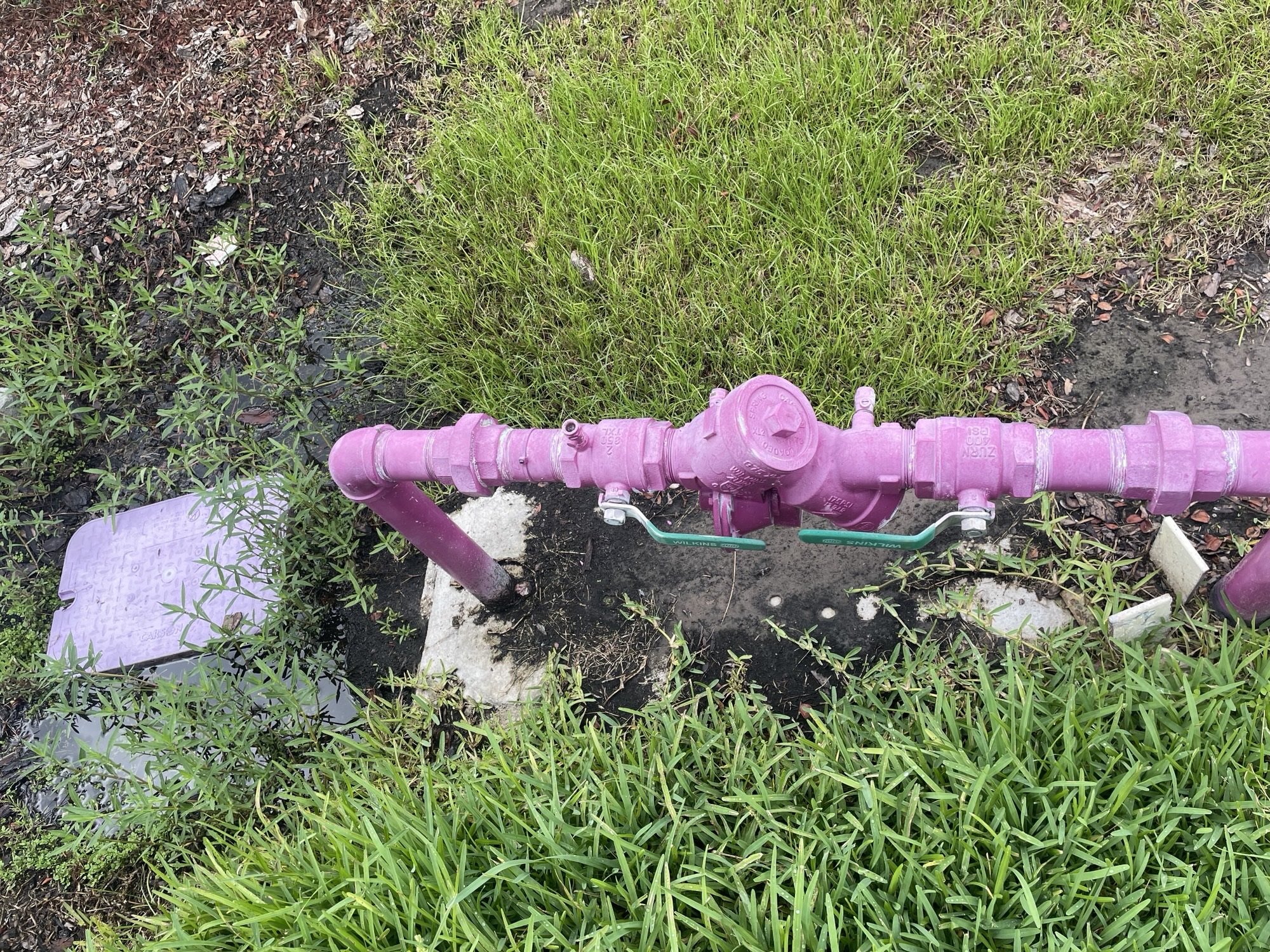 Backflow preventer valve assembly serviced after a freeze in Wesley Chapel, FL